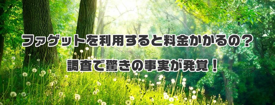ファゲットを利用すると料金かかるの?調査で驚きの事実が発覚!